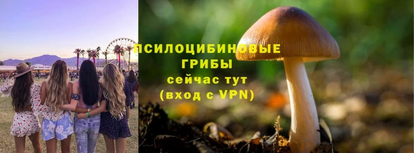 прущий лед Волосово