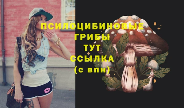 ПСИЛОЦИБИНОВЫЕ ГРИБЫ Володарск